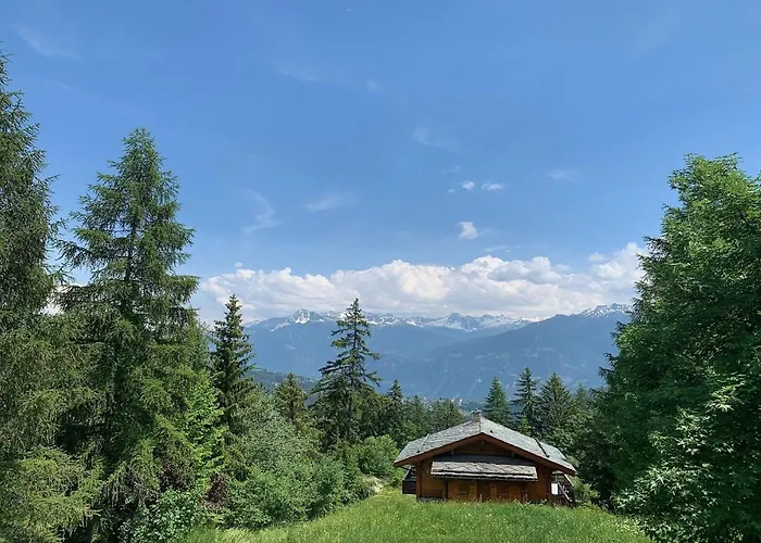 Edelweiss F 805 A Avec Vue Sur Les Alpes דירה *